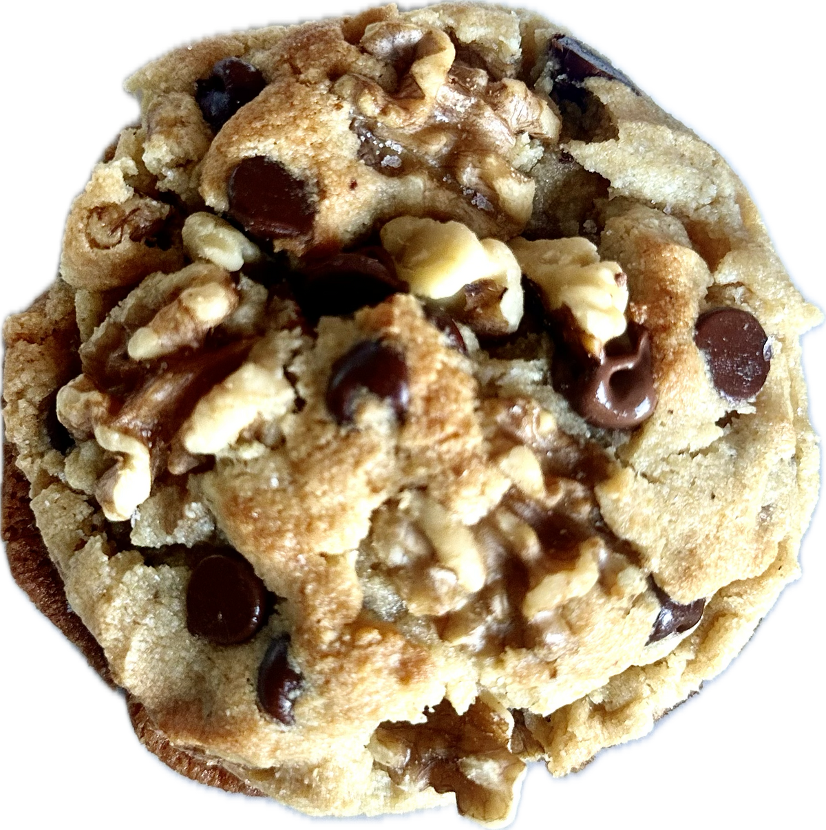 Gluten-Free Chocolate Chip Walnut