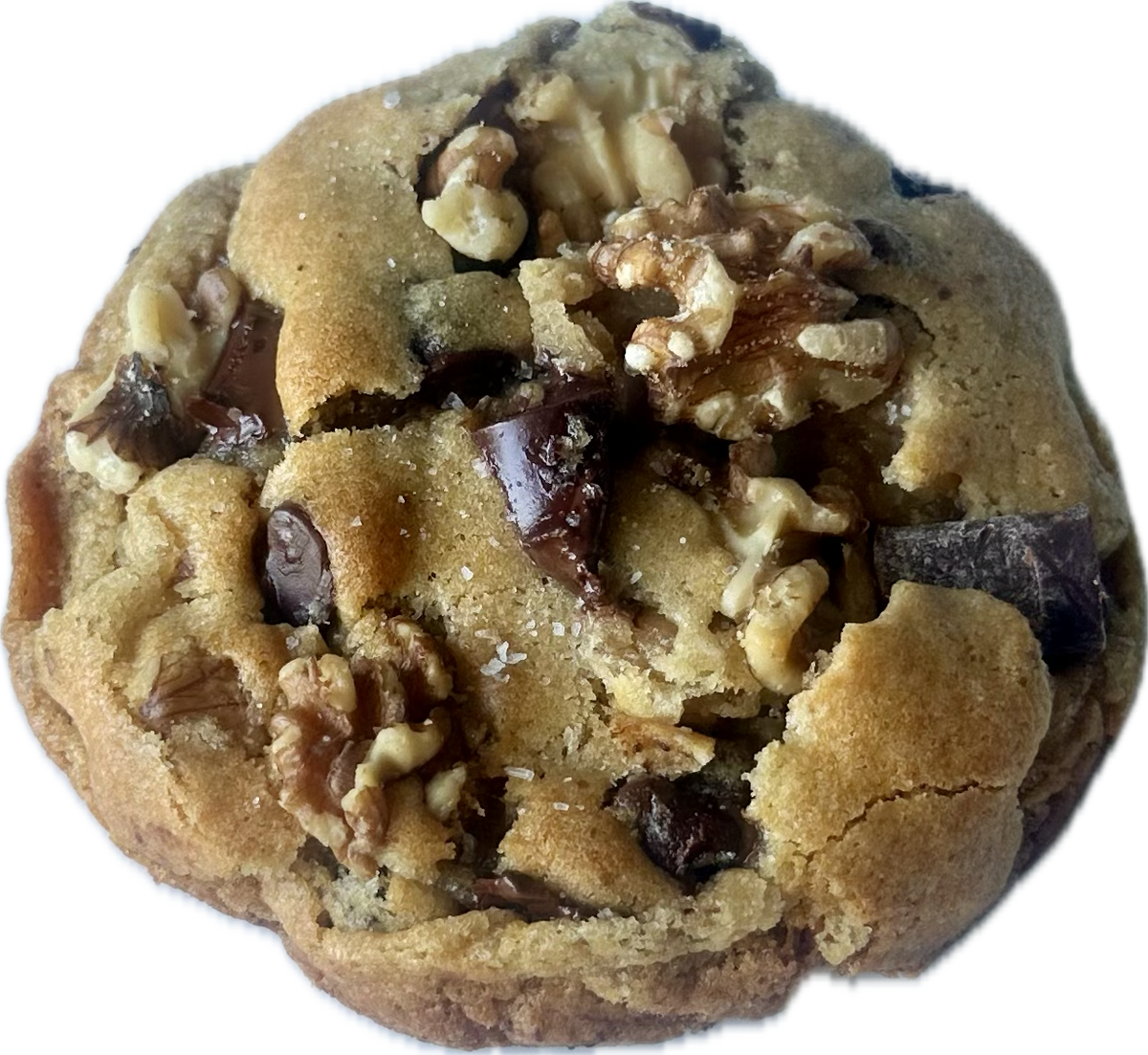 Vegan Chocolate Chip Walnut