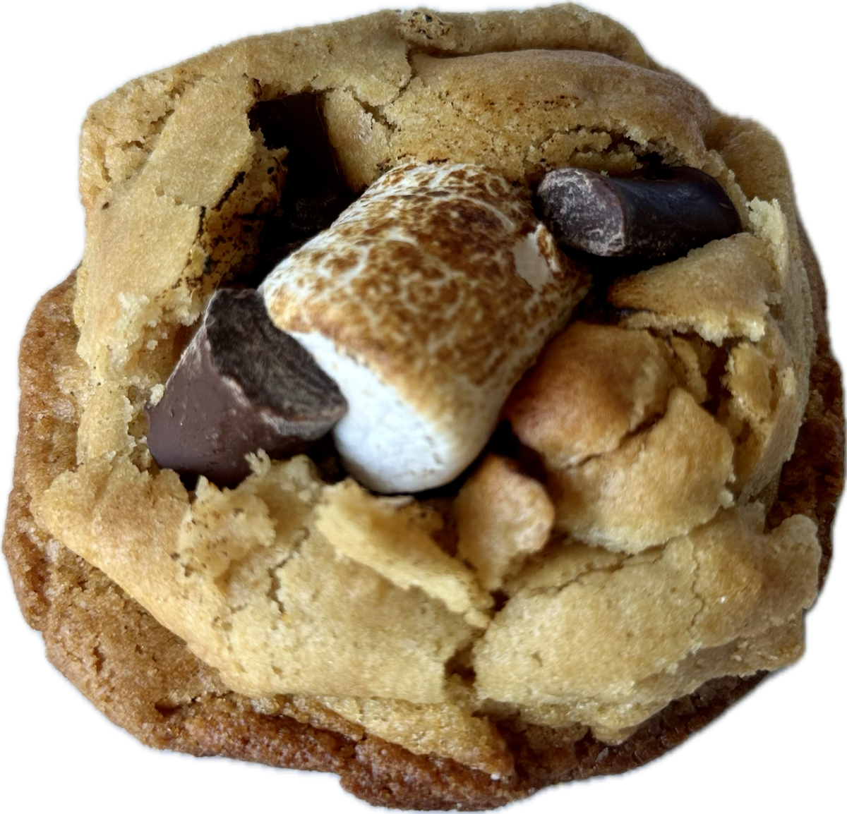 Vegan Chocolate S’mores